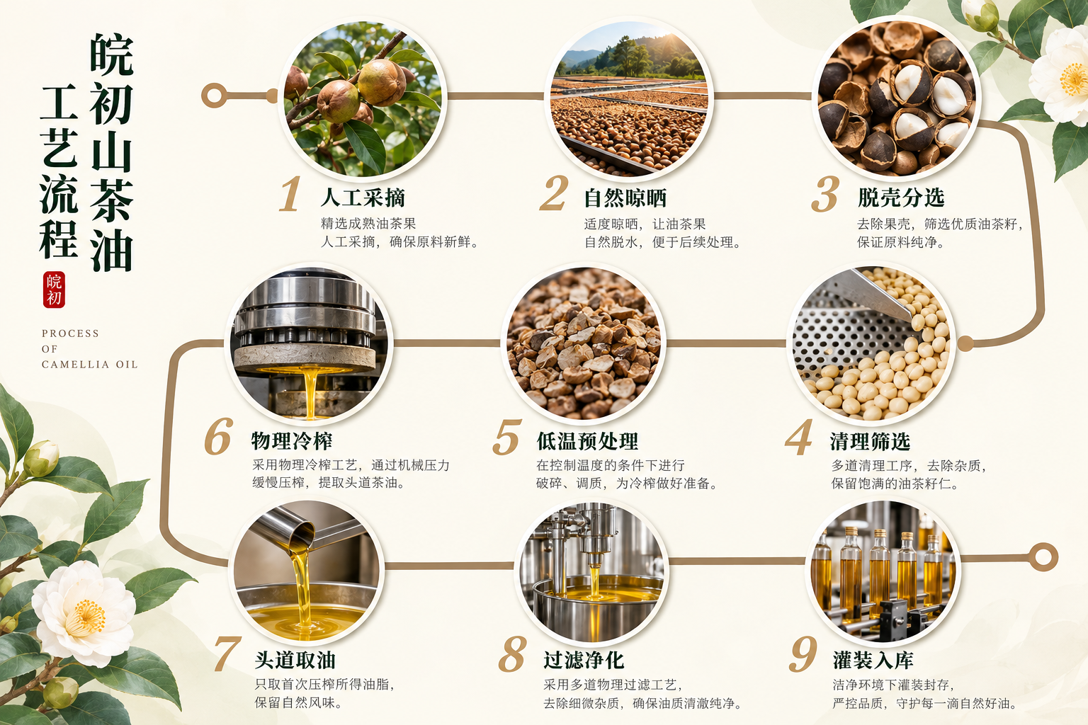 皖初压榨工艺
